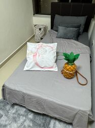 The Plaza (D7), Apartment #619520741